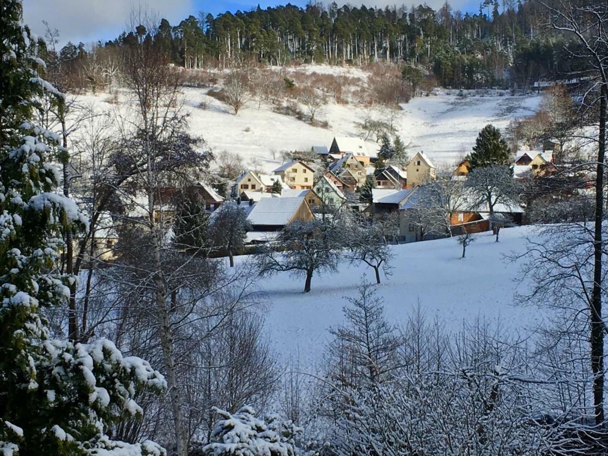 Gite Chez Vero Breitenbach-Haut-Rhin Exterior foto